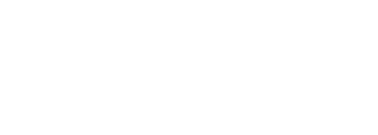 Logo SARA